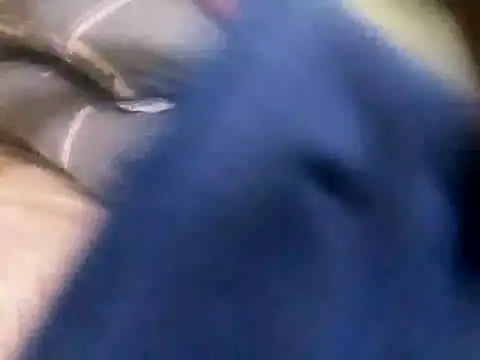 Show de calme_odl1 na webcam