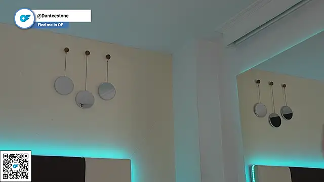 DanteeStone 网络视讯表演