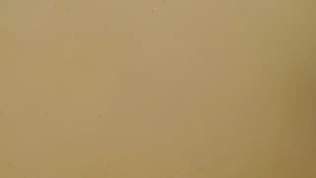 valkahot20 webcam show