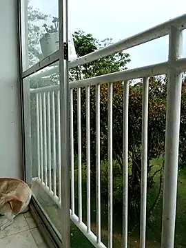 Show de webcam de LEIRIS_Y_FRED_01