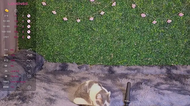 EkaterinaUpple Webcam-Show