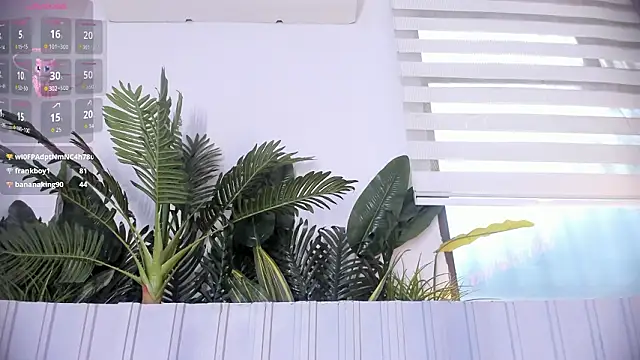 stephanymonroe 现场XXX聊天