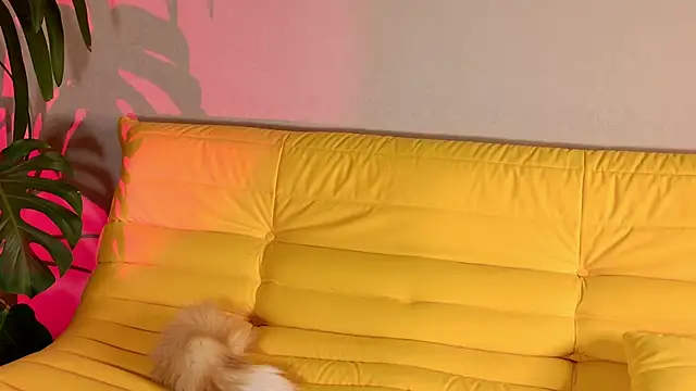 XXX chat uživo modela jane-booblegum