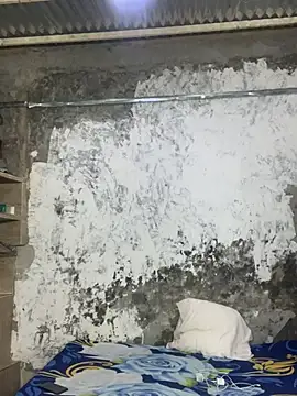 Chat +18 de ikaro21 ao vivo