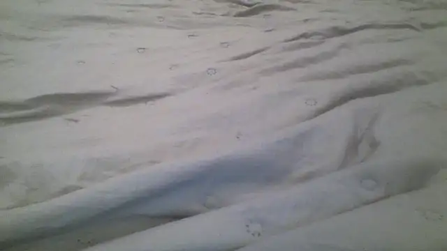 Show modela Molly_97 na web-kameri