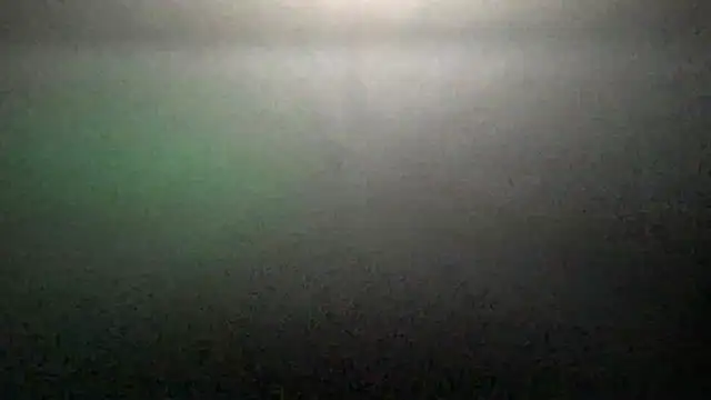 Pertunjukan Kamera Web TyKindaNasty