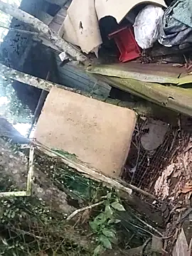 axel69consentido ওয়েবক্যাম শো