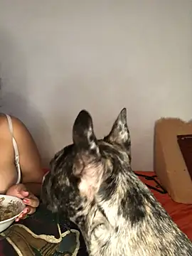 Онлайн чат XXX luisahot_9727