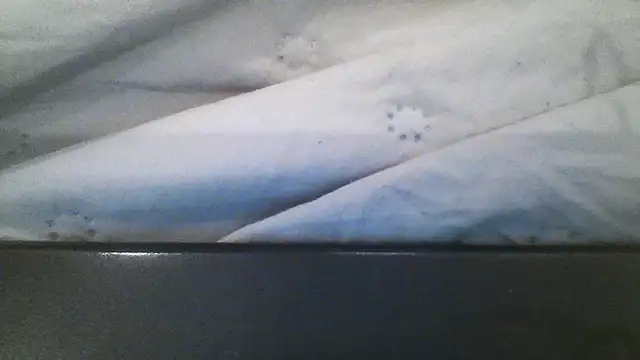 Webkamerová show Molly_97