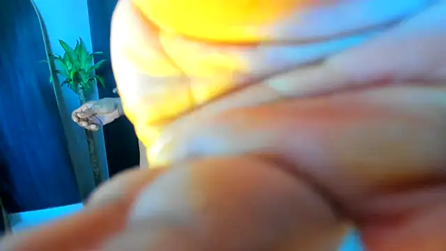 Webkamerová show papipills