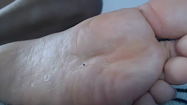 Elza_Blonde 라이브 XXX 채팅