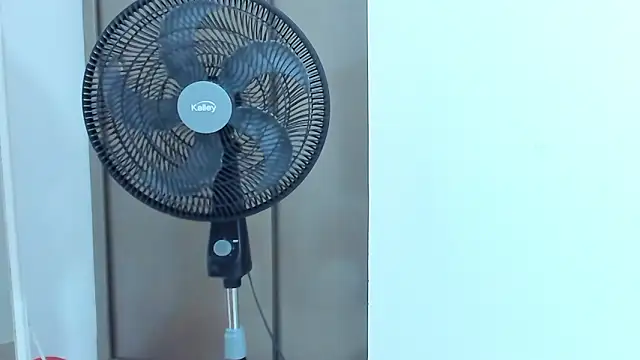 Chat +18 de IslaRose7 ao vivo