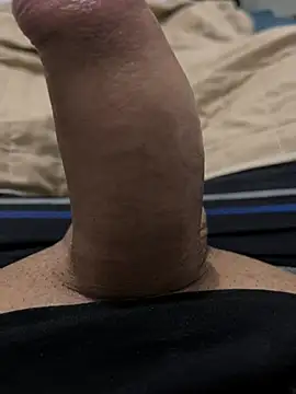 dustbor Show in webcam