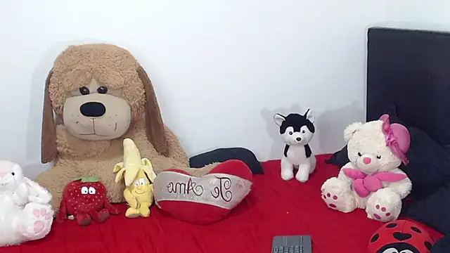 Show webcam de crss_2020