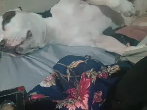 blzed420's Live XXX Chat