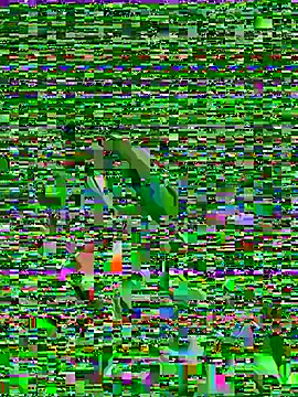 Flossy_Vettie's Live XXX Chat