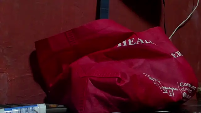 Chat +18 de VincentSavage ao vivo