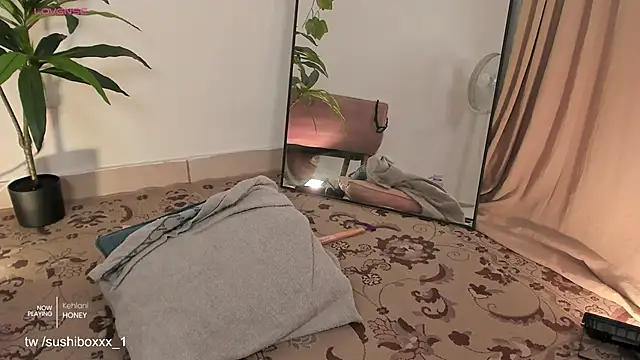 sushiboxxx 现场XXX聊天