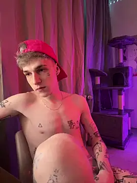 Show de webcam de davesinner