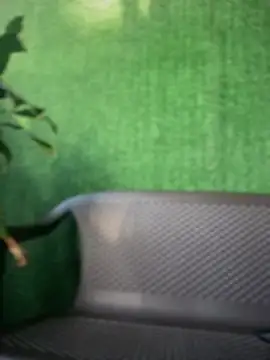 NovaFoxx 网络视讯表演