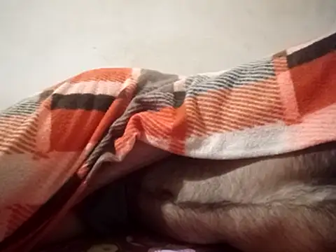 MoonlessSurgery Live XXX-Chat