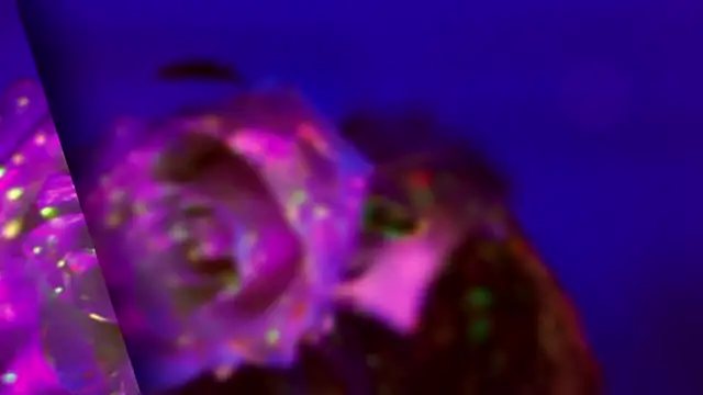 HeyBananas Live XXX-Chat