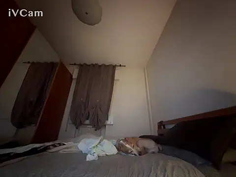 Show de PierRiminiX na webcam