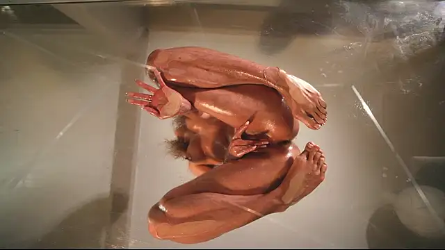 HeyBananas Adlı Modelin Canlı XXX Sohbeti