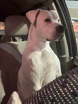 RagingRebecca Chat XXX in diretta