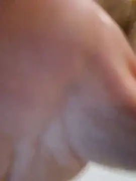 d1ckend Adlı Modelin Canlı XXX Sohbeti