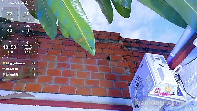 kiaratentation 라이브 XXX 채팅