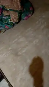 HornyAss_Bitch Live XXX Chat