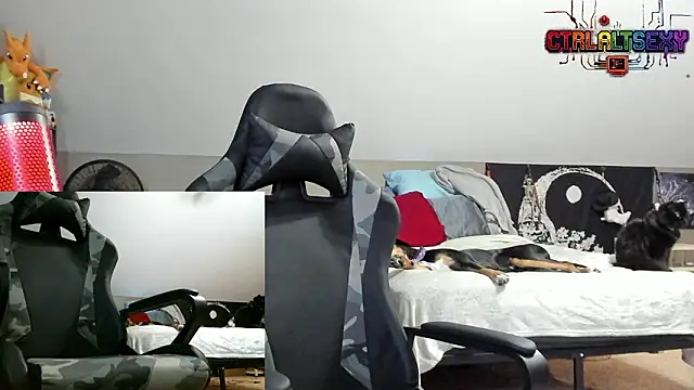 CtrlAltSexy webkamerás műsora