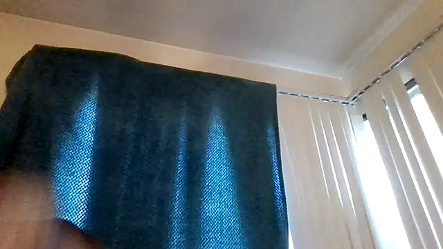 Show Webcam de Tallhungandcloudy