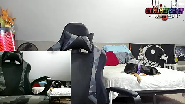 CtrlAltSexy webcam show