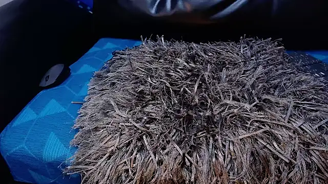 Chat +18 de Madison_Copers ao vivo