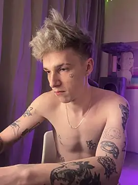 Show webcam de davesinner