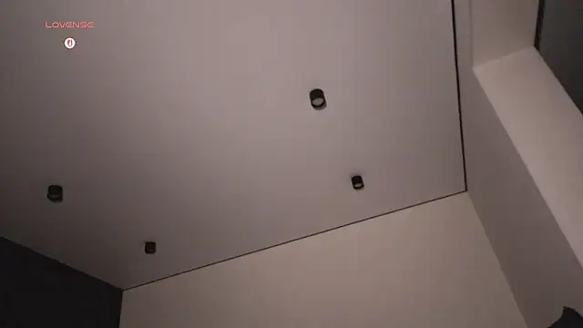 Show de BabySofa na webcam