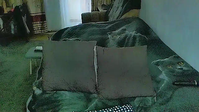 sex2 라이브 XXX 채팅