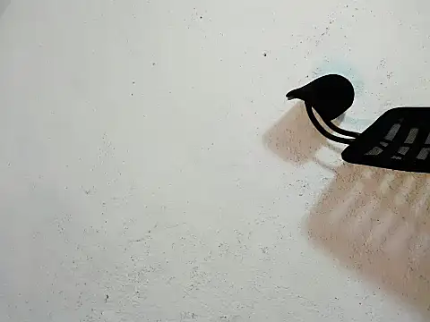 Ts_morena Pertunjukan Webcam