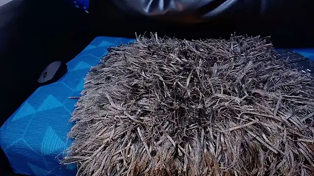 دردشة Madison_Copers الجنسية المباشرة