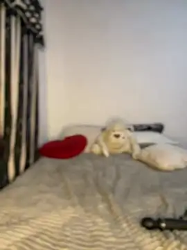 SofiaWildee's Live XXX Chat