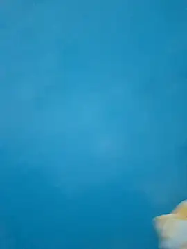 Show Webcam de Arthurfer2