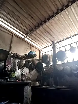 Cindy237stn Webbikameraesitys