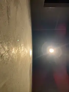 Pertunjukan Kamera Web NewLale