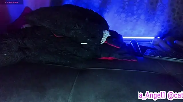 Chat +18 de Cata-angel ao vivo