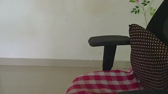 Show de punemodel na webcam