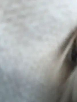 Czat XXX na żywo – NewLale