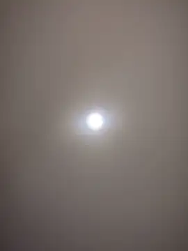 Show Webcam de MichelleFerry_