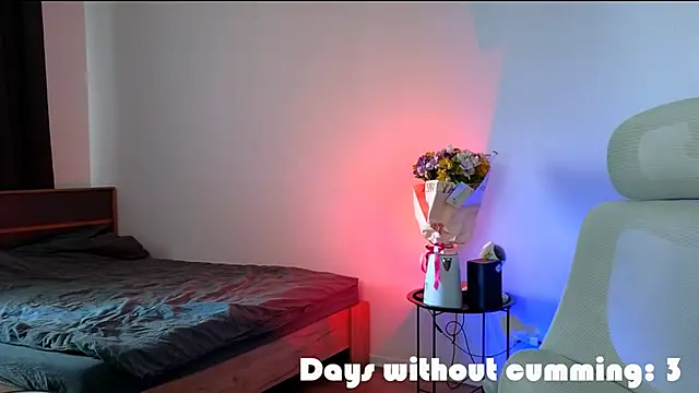 DENIS_HERE Show Webcam